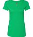 Next Level 6740 Tri-Blend V Neck T Shirts in Envy front view