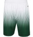 Badger Sportswear 2221 Youth Hex 2.0 Shorts in Forest front view