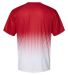 Badger Sportswear 4220 Hex 2.0 T-Shirt in Red back view