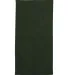 Q-Tees QV3060 Velour Beach Towel in Forest back view