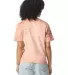 Comfort Colors 1745 Colorblast Heavyweight T-Shirt in Umber back view