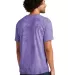 Comfort Colors 1745 Colorblast Heavyweight T-Shirt in Amethyst back view