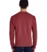 Comfort Wash GDH400 Garment Dyed Unisex Crewneck S in Cayenne back view