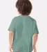 Comfort Wash GDH175 Garment Dyed Youth Short Sleev in Cypress green back view