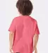 Comfort Wash GDH175 Garment Dyed Youth Short Sleev in Coral craze back view