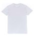 Threadfast Apparel 100A Unisex Ultimate T-Shirt in Silver