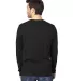 Threadfast Apparel 100LS Unisex Ultimate Long-Slee BLACK back view