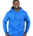 Threadfast Apparel 320H Unisex Ultimate Fleece Pul ROYAL front view
