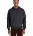 Hanes RS170 Adult Perfect Sweats Pullover Hooded S Charcoal Heather front view