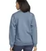Gildan SF000 Adult Softstyle® Fleece Crew Sweatsh in Stone blue back view