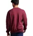 Russel Athletic 698HBM Unisex Dri-Power® Crewneck in Maroon back view