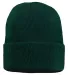 Sportsman SP12JL Jersey Lined 12" Cuffed Beanie in Forest green front view
