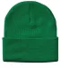 Sportsman SP12 Solid 12" Cuffed Beanie in Kelly back view