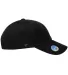 Yupoong-Flex Fit 6245EC Classic Dad Cap in Black side view