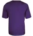 Alleson Athletic 2930 B-Core Youth Placket Jersey in Purple back view