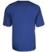 Alleson Athletic 2930 B-Core Youth Placket Jersey in Royal back view