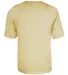 Alleson Athletic 2930 B-Core Youth Placket Jersey in Vegas gold back view