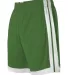 Alleson Athletic 538P Single Ply Basketball Shorts Kelly/ White side view