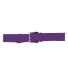 Alleson Athletic 3BBA Baseball Belt 1.5 Width Purple front view