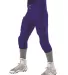 Alleson Athletic 689S Intergrated Football Pants Royal side view