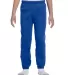 973B Jerzees Youth 8 oz. NuBlend® 50/50 Sweatpant Royal front view