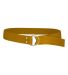 Alleson Athletic 3FBLA Football Belt 1" Width in Gold