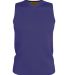Alleson Athletic A105BA Blank Reversible Game Jers in Purple/ gold front view