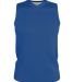 Alleson Athletic A105BA Blank Reversible Game Jers in Royal/ white front view