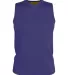 Alleson Athletic A105BY Youth Blank Reversible Gam Purple/ Gold front view