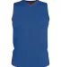 Alleson Athletic A105BY Youth Blank Reversible Gam Royal/ Orange front view