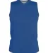 Alleson Athletic A105BY Youth Blank Reversible Gam Royal/ White front view