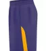 Alleson Athletic A205BY Youth Blank Game Shorts in Purple/ gold side view