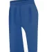 Alleson Athletic A205BY Youth Blank Game Shorts in Royal/ white side view