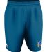 Alleson Athletic A205LA NBA Logo'd Shorts in Golden state warriors side view