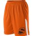 Alleson Athletic A205LA NBA Logo'd Shorts in Phoenix suns front view