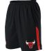 Alleson Athletic A205LY Youth NBA Logo'd Game Shor in Chicago bulls front view