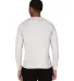 Threadfast Apparel 382LS Unisex Impact Long-Sleeve in Heather grey back view