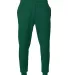 A4 Apparel N6213 Men's Sprint Tech Fleece Jogger FOREST front view