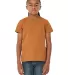Bella + Canvas 3001Y Youth Jersey T-Shirt in Toast front view