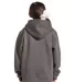 Lane Seven Apparel LS1401Y Youth Premium Pullover  CHARCOAL HEATHER back view