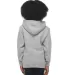 Lane Seven Apparel LS1401Y Youth Premium Pullover  HEATHER GREY back view