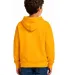 Smart Blanks 301 YOUTH PULLOVER HOODIE in Gold