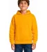 Smart Blanks 301 YOUTH PULLOVER HOODIE in Gold