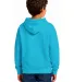 Smart Blanks 301 YOUTH PULLOVER HOODIE in Turquoise
