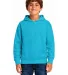 Smart Blanks 301 YOUTH PULLOVER HOODIE in Turquoise