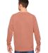 Comfort Colors T-Shirts  1566 Garment-Dyed Sweatsh in Terracotta back view