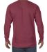 Comfort Colors T-Shirts  1566 Garment-Dyed Sweatsh in Brick back view