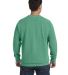 Comfort Colors T-Shirts  1566 Garment-Dyed Sweatsh in Island green back view
