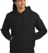District Clothing DT6600 District V.I.T. Heavyweig Black front view