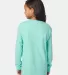 Comfort Wash GDH275 Garment Dyed Youth Long Sleeve Mint back view